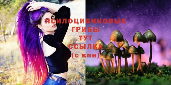 метадон Аркадак