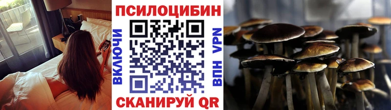 где купить наркоту  Дзержинск  blacksprut зеркало  Псилоцибиновые грибы Psilocybe 